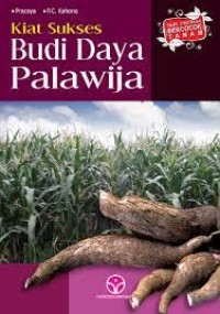 Budidaya Palawija